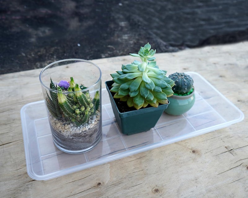 VUWEZ 2 Pack Plastic Plant Saucer, Rectangular, Indoors Outdoor, Water Drip Tray for Flower Pot, Windowsill (5.5 x 10 Inch, Clear) - Image 5